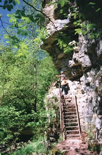 Die Wutach und ihre Nebenflsse bilden eine berwltigende Urlandschaft mit romantischen Schluchten und urwchsigen Wldern. Ein unvergessliches Erlebnis fr jeden Wanderer.